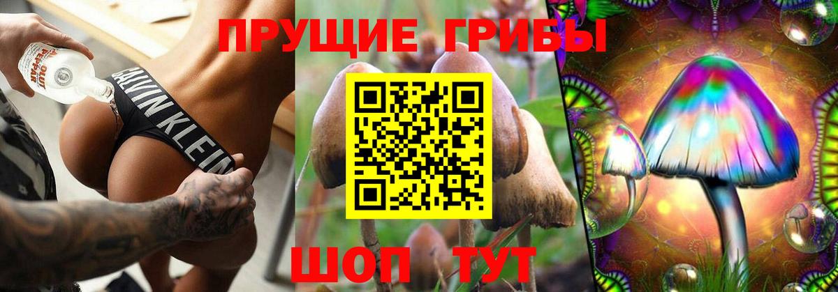 Псилоцибиновые грибы GOLDEN TEACHER Искитим